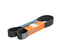 Courroie trapézoïdale à nervures DAYCO 10PK1435HD