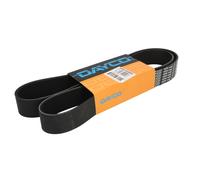 Courroie trapézoïdale à nervures DAYCO 10PK1448HD