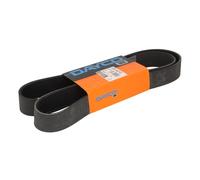 Courroie trapézoïdale à nervures DAYCO 10PK1487HD