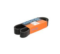 Courroie trapézoïdale à nervures DAYCO 10PK1570HD