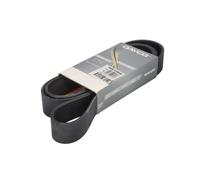 Courroie trapézoïdale à nervures DAYCO 10PK1705HD