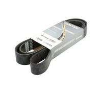 Courroie trapézoïdale à nervures DAYCO 10PK1781HD