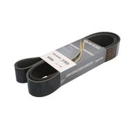 DAYCO 12PK1923HD Courroie Poly-V