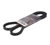 DAYCO 13A1290HD Courroie trapézoïdale