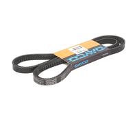 Courroie trapézoïdale à nervures DAYCO 17A1430HD