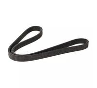 Courroie trapézoïdale à nervures DAYCO 6DPK1195