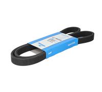 DAYCO 6DPK1320 Courroie Poly-V
