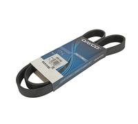 Courroie trapézoïdale à nervures DAYCO 6PK1163