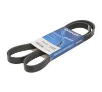 Courroie trapézoïdale à nervures DAYCO 6PK1407S