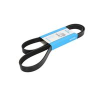 Courroie trapézoïdale à nervures DAYCO 6PK1495