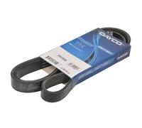 Courroie trapézoïdale à nervures DAYCO 6PK1555S
