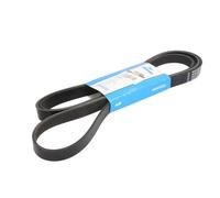 Courroie trapézoïdale à nervures DAYCO 6PK2458S