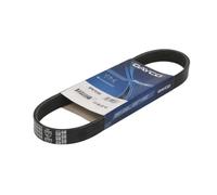Courroie trapézoïdale à nervures DAYCO 6PK701EE