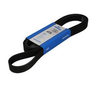 Courroie multi-cannelée 7PK2842 DAYCO pour FORD TRANSIT Autobus/Autocar