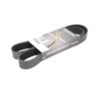 Courroie trapézoïdale à nervures DAYCO 8PK1230HD