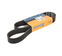 Dayco Courroie Poly-V 8PK1300HD HD