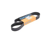 Dayco Courroie Poly-V 8PK1385HD