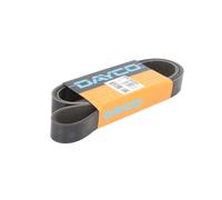 DAYCO 8PK1555HD Courroie Poly-V