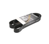 Courroie trapézoïdale à nervures DAYCO 8PK1655HD