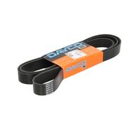 Courroie trapézoïdale à nervures DAYCO 8PK2120HD