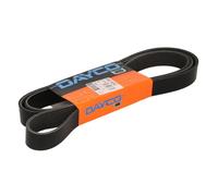 DAYCO 8PK2160HD Courroie Poly-V