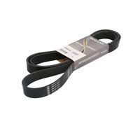 DAYCO 8PK2420HD Courroie Poly-V