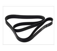 Courroie trapézoïdale à nervures DAYCO 8PK2555HD