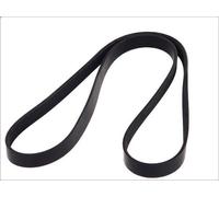 Courroie trapézoïdale à nervures DT SPARE PARTS 3.34338 pour EL 6.871 1993-