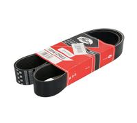Courroie trapézoïdale à nervures GATES 10PK1250HD