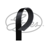 Courroie trapézoïdale à nervures GATES 10PK2020HD