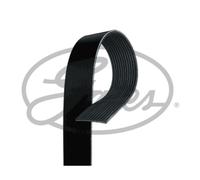 Courroie trapézoïdale à nervures GATES 12PK1835HD