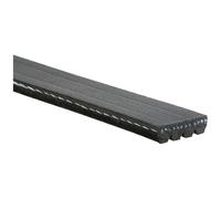 Courroie trapézoïdale à nervures GATES 4PK803