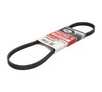GATES Courroie Micro-V 4PK843SF, Noir