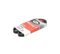 Courroie trapézoïdale à nervures GATES 4PK885