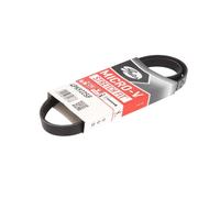 Courroie trapézoïdale à nervures GATES 4PK922SF