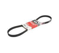 Courroie trapézoïdale à nervures GATES 5PK1005