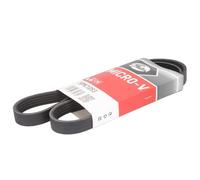 Courroie trapézoïdale à nervures GATES 5PK1053