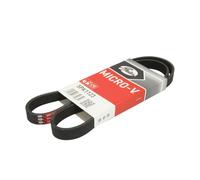 GATES Courroie Micro-V 5PK1123, Noir