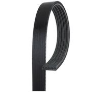Courroie trapézoïdale à nervures GATES 5PK1123XS