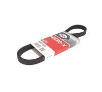 Courroie trapézoïdale à nervures GATES 5PK1220