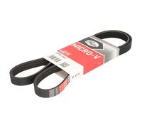 Courroie trapézoïdale à nervures GATES 5PK1343