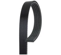 Courroie Trapézoïdale À Nervures Gates 5PK1343 Micro-v® pour Dodge Lancia Volvo