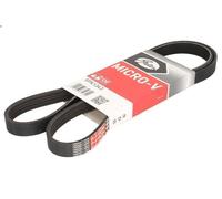 Courroie trapézoïdale à nervures GATES 5PK1343 pour GALLOPER I 3 1991-1998