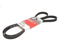 Courroie trapézoïdale à nervures GATES 5PK1745 pour MATRIX (FC) 1.5 2004-2010