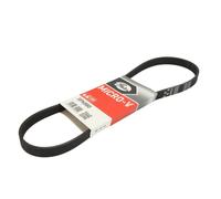 Courroie trapézoïdale à nervures GATES 5PK880