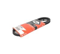 Courroie trapézoïdale à nervures GATES 6215MC