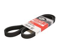 Courroie trapézoïdale à nervures GATES 6DPK1195