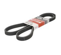 Courroie trapézoïdale à nervures GATES 6DPK1698