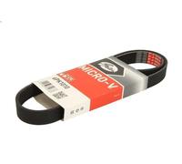 Courroie trapézoïdale à nervures GATES 6PK101 pour 206 Van 1.1 2002-2007