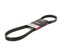 Courroie trapézoïdale à nervures GATES 6PK1033EST